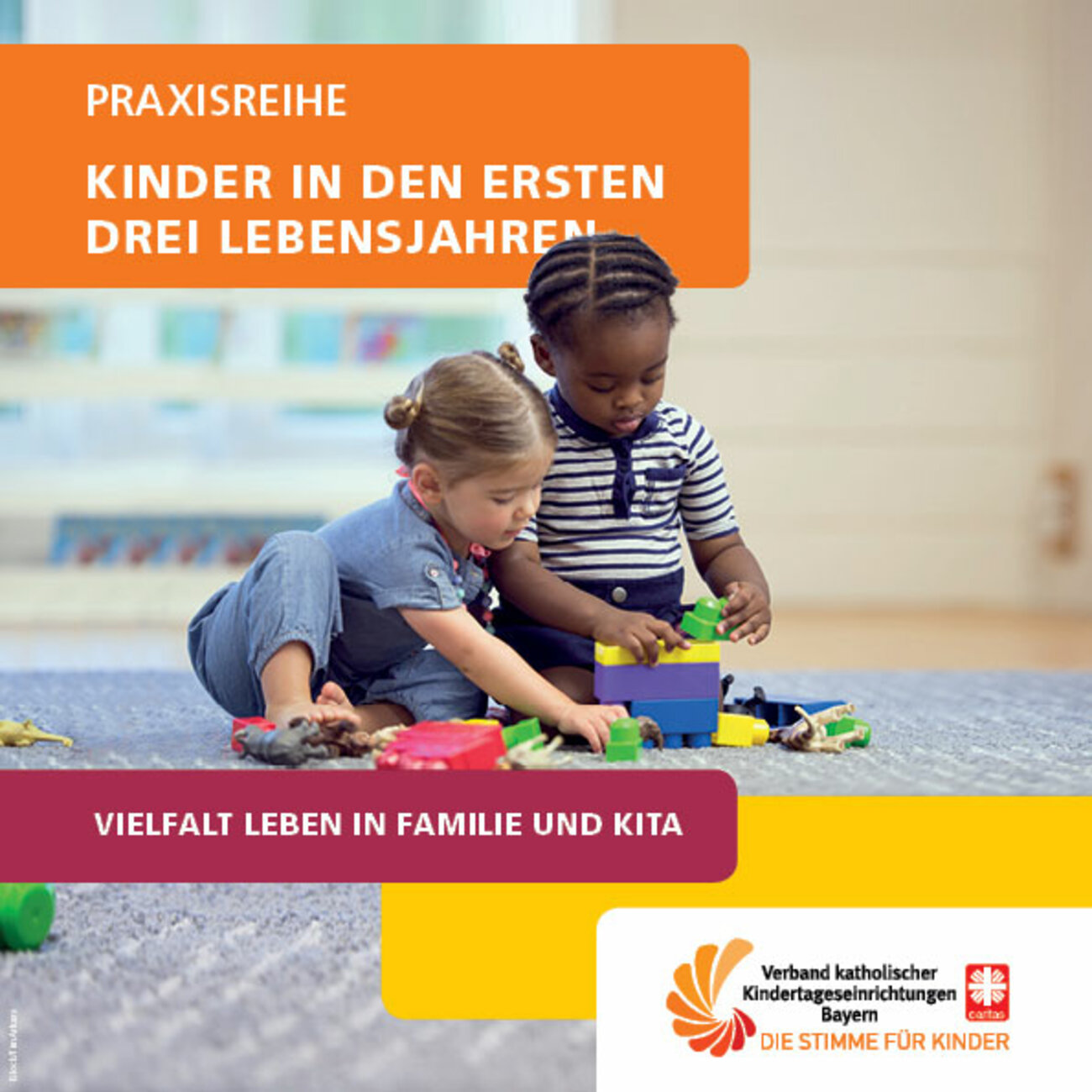 Praxisreihe Kinder in den ersten drei Lebensjahren - Folge 1 Vielfalt in Familie und Kita